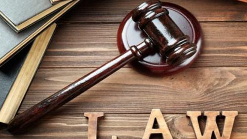 专业能力强的律师事务所推荐