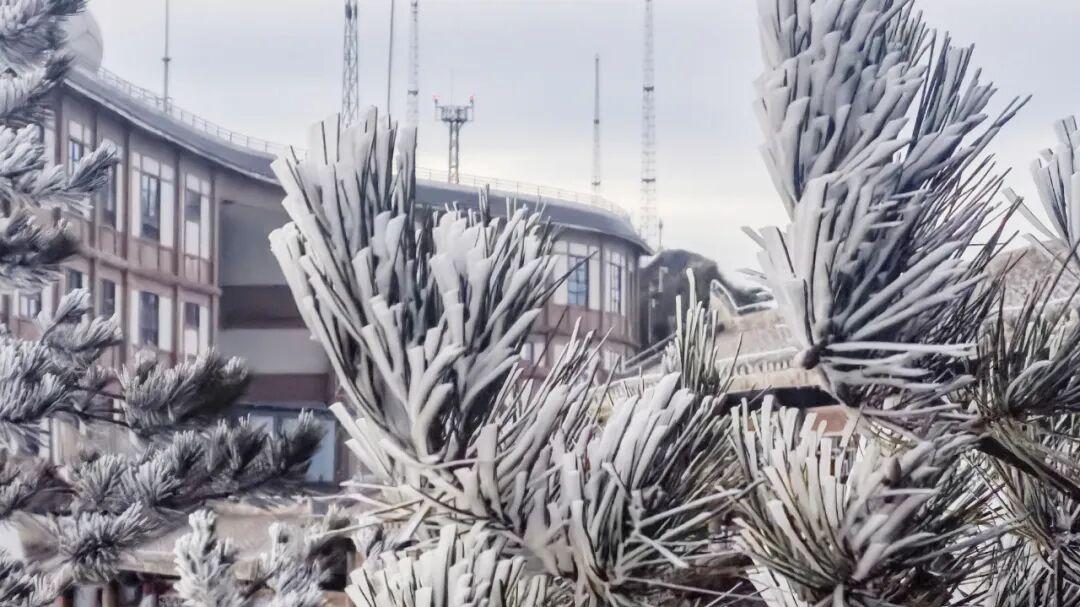泉州最低-2.9℃！九仙山迎来入冬首场雾凇