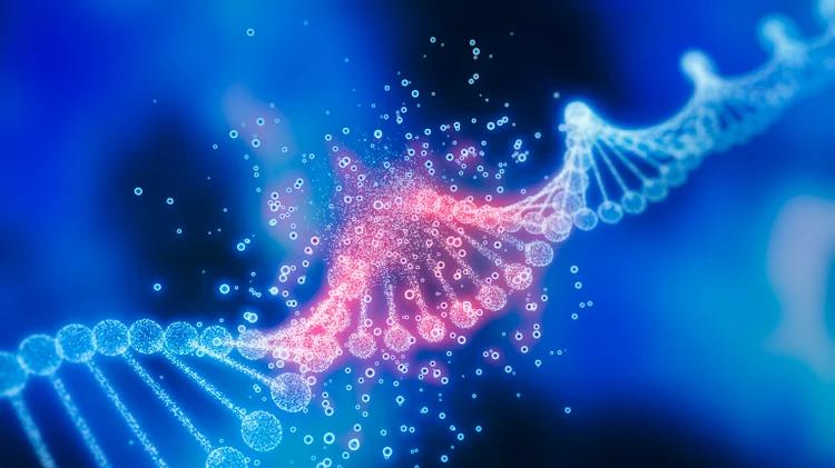 与肝脏安全问题相关，DMD基因疗法ELEVIDYS更新用药说明