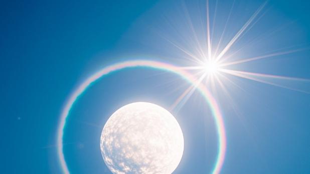 西藏旅游注意藏马熊，它们真的太多了，因为生态变好了