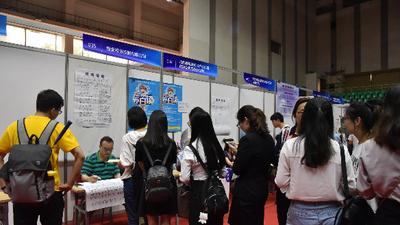 高校招聘“萝卜岗”争议：一场关于公平与透明的学术生态拷问