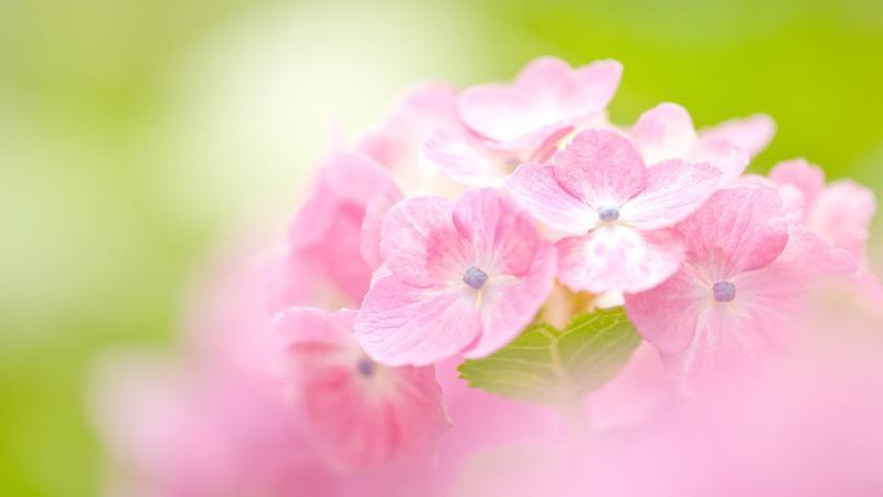 想知道男人有多爱你？看他有没有做到这3点！