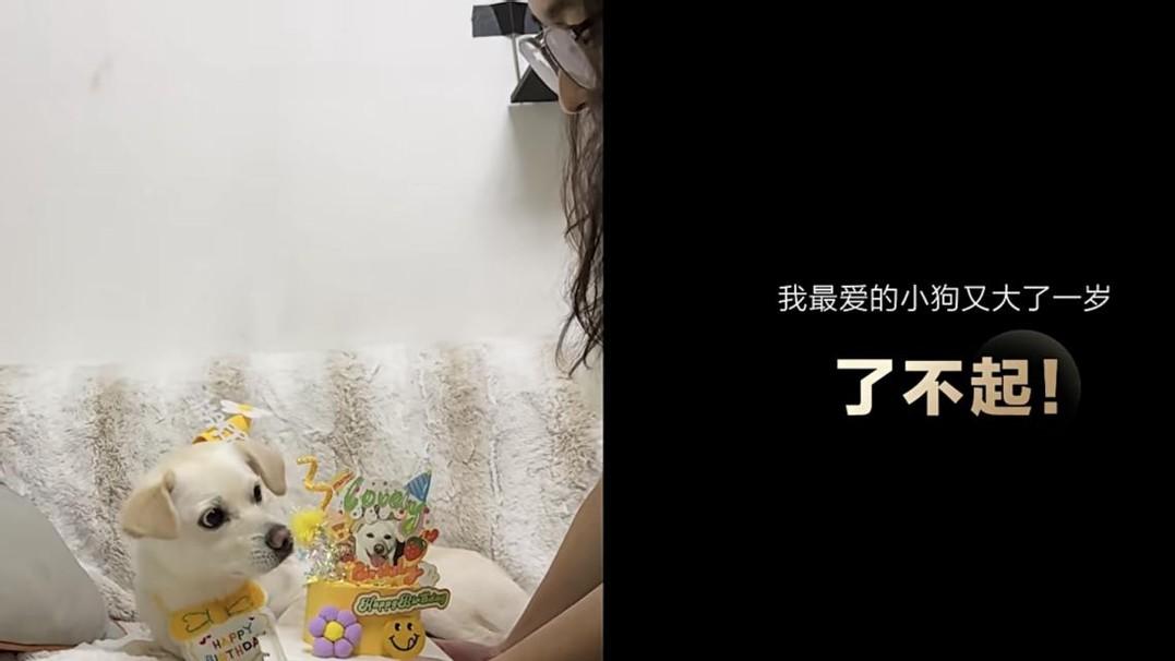 2025年“了不起”的瞬间：是默默提升自己的每一刻