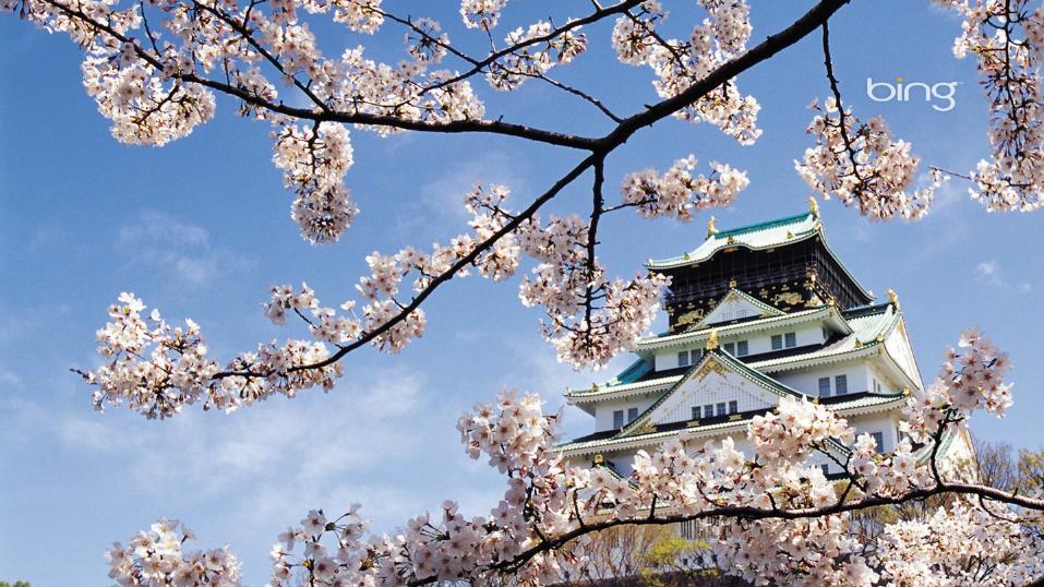 500万日元买一张日本“门票”：起底中国人赴日创业的资本金漏洞