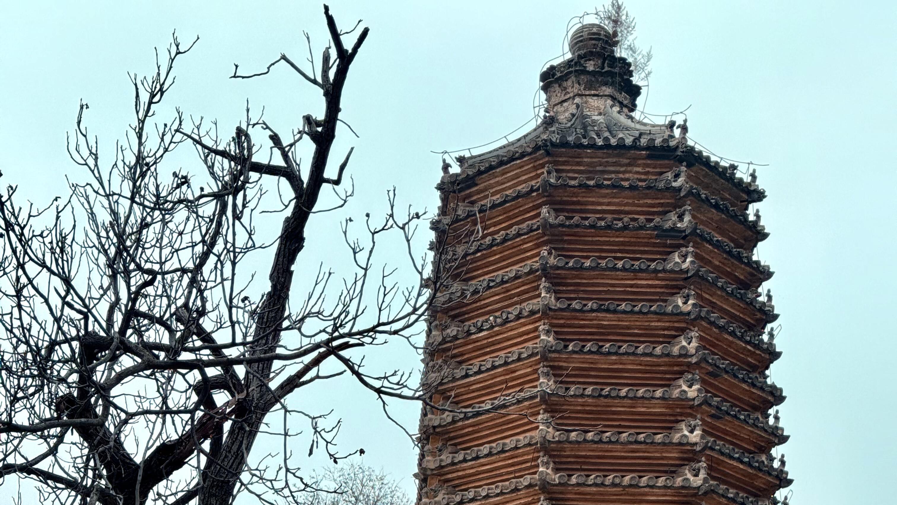 盛唐遗韵再现，银山塔林探秘，解锁千年佛国建筑密码