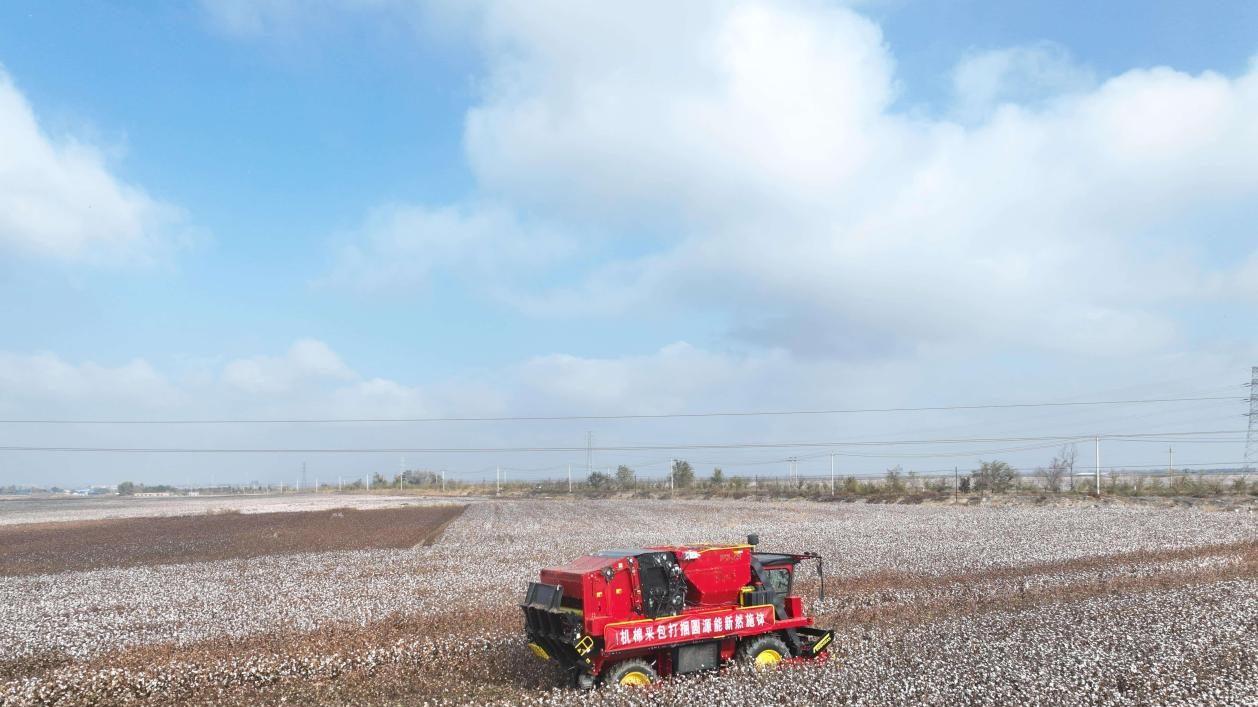 揭秘钵施然7301如何实现节能25%？