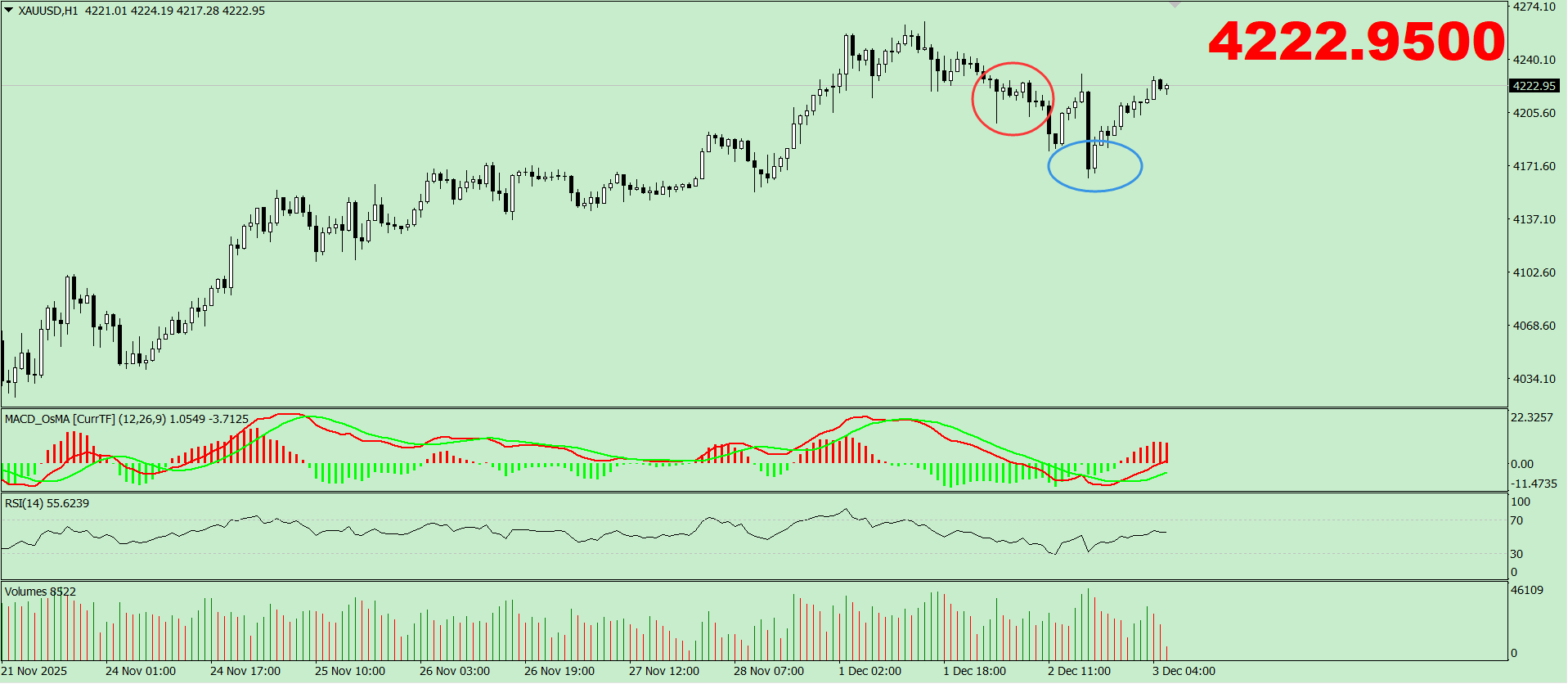 黄金先跌再涨，是调整还是见顶？
