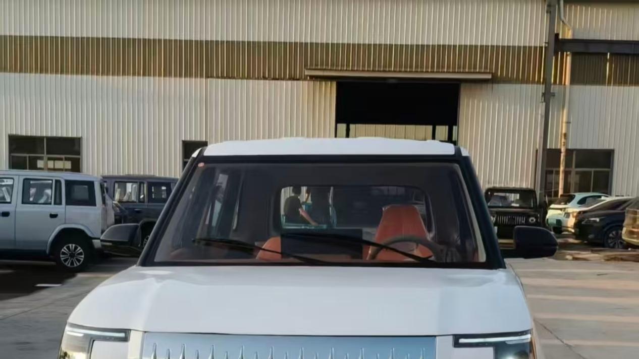 不是极氪买不起，只是老头乐更有性价比