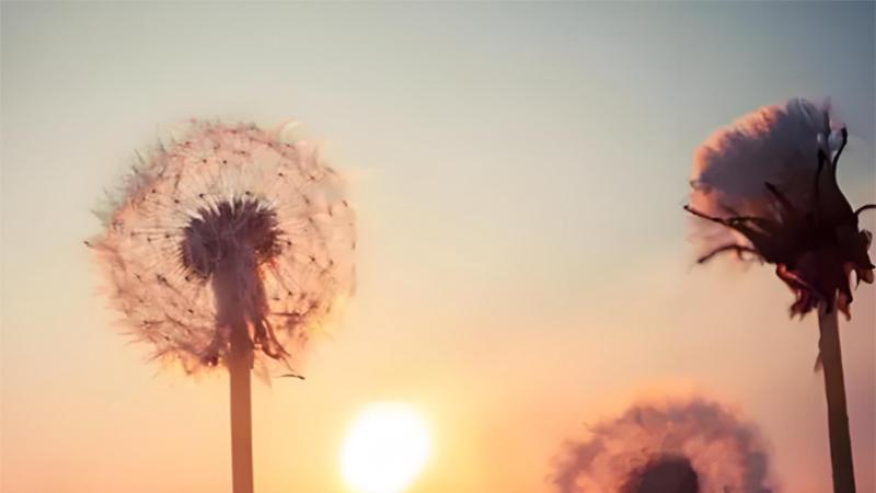 13岁男孩陪残疾父亲卖早餐，对苦难没有感谢没有抱怨，只有熬