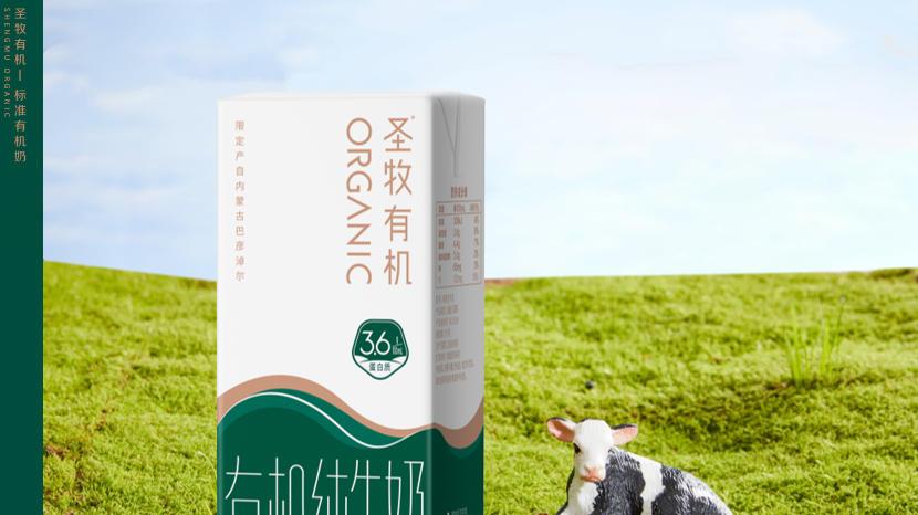 圣牧有机：循环产业缔造优质有机奶（一）