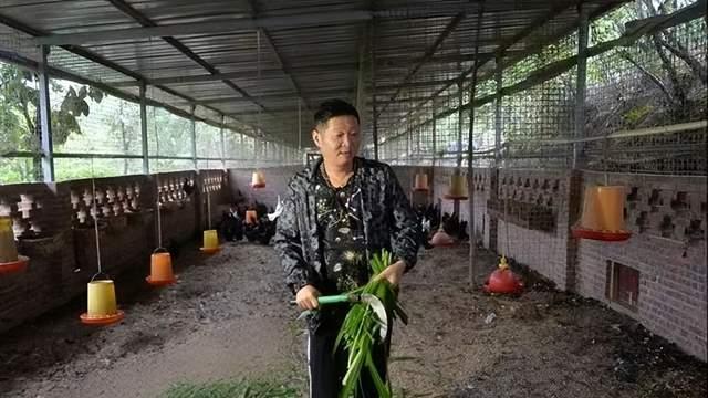 赵亮陷“胖都来”乌龙道歉难挽口碑，商标抖机灵再曝文字游戏翻车