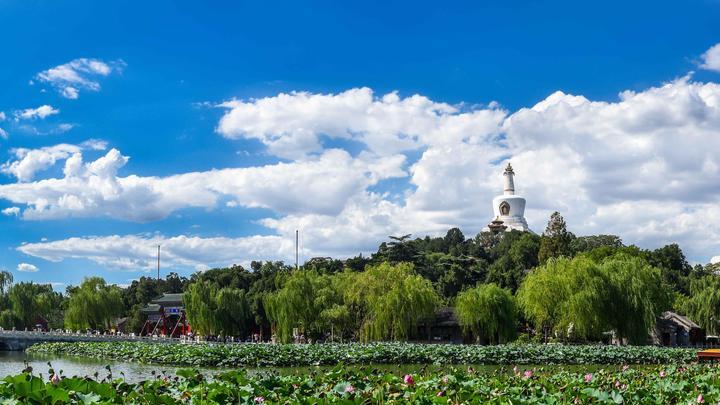 坐标北京，年薪55万，33岁，压力大，想辞职回贵州老家发展，可否