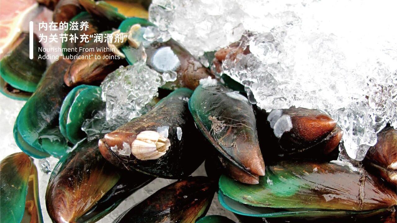 象乡宠物食品 | 秋冬宠物养护指南降温了，守护爱宠的关节