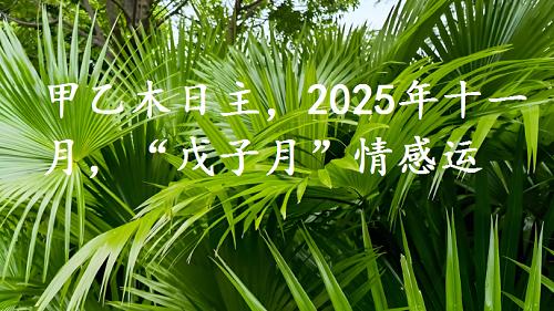 甲乙木日主，2025年十一月，“戊子月”情感运