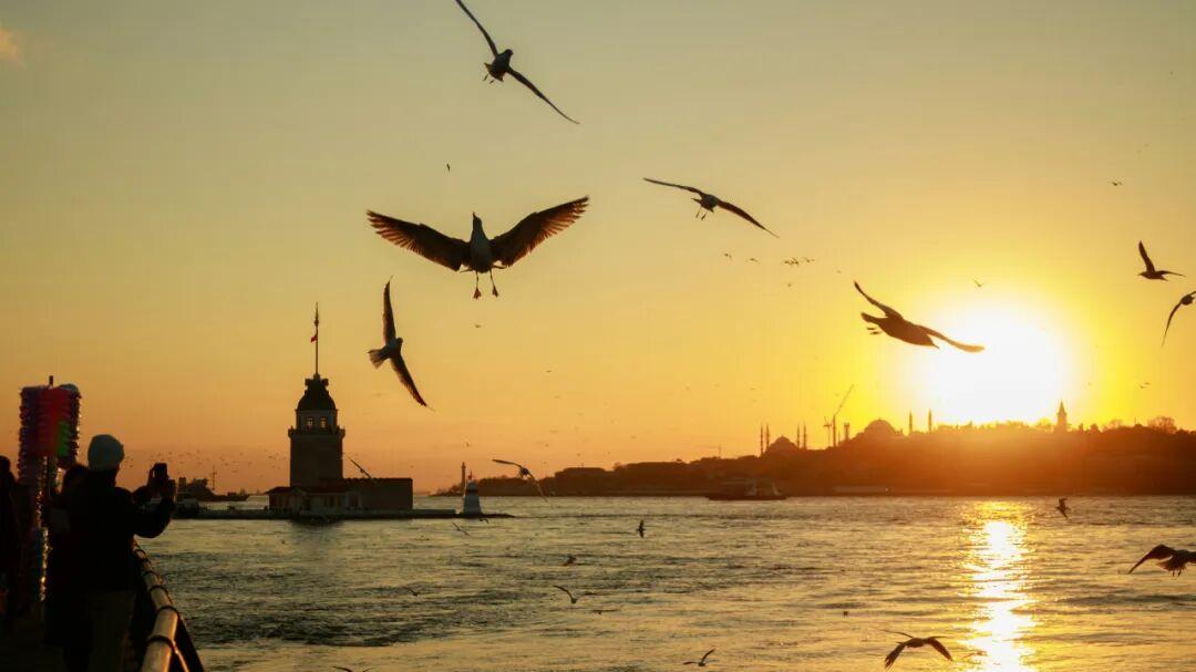 2026新年AI献词：在流动的褶皱里，打捞永恒的光