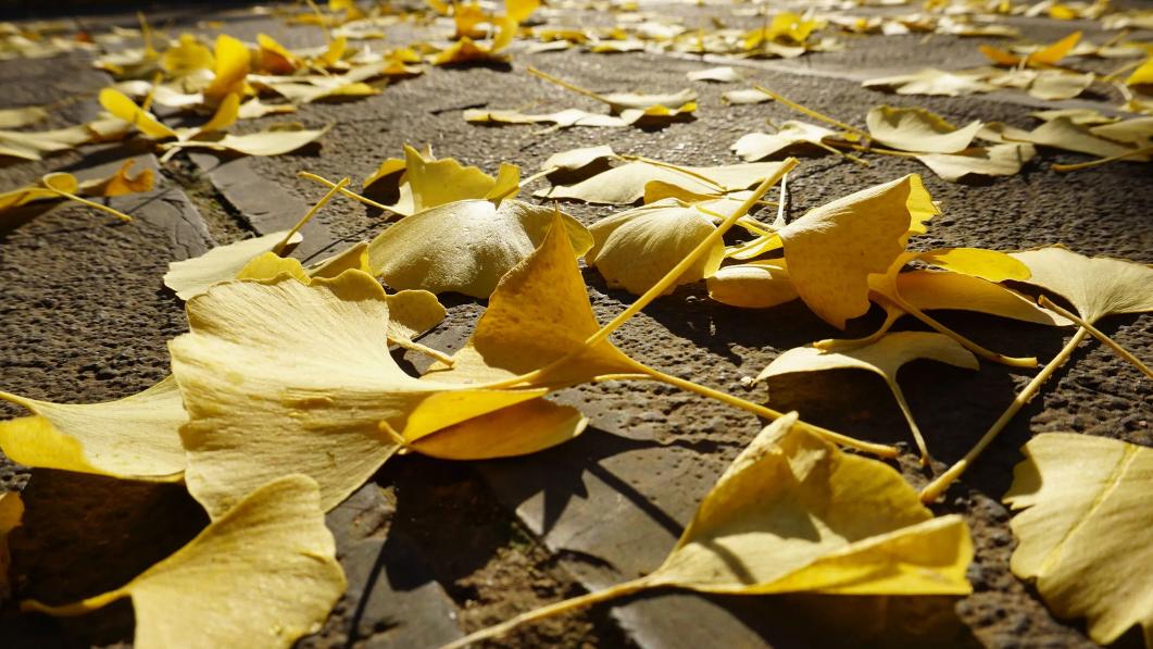 这么多年来一直是求财不易