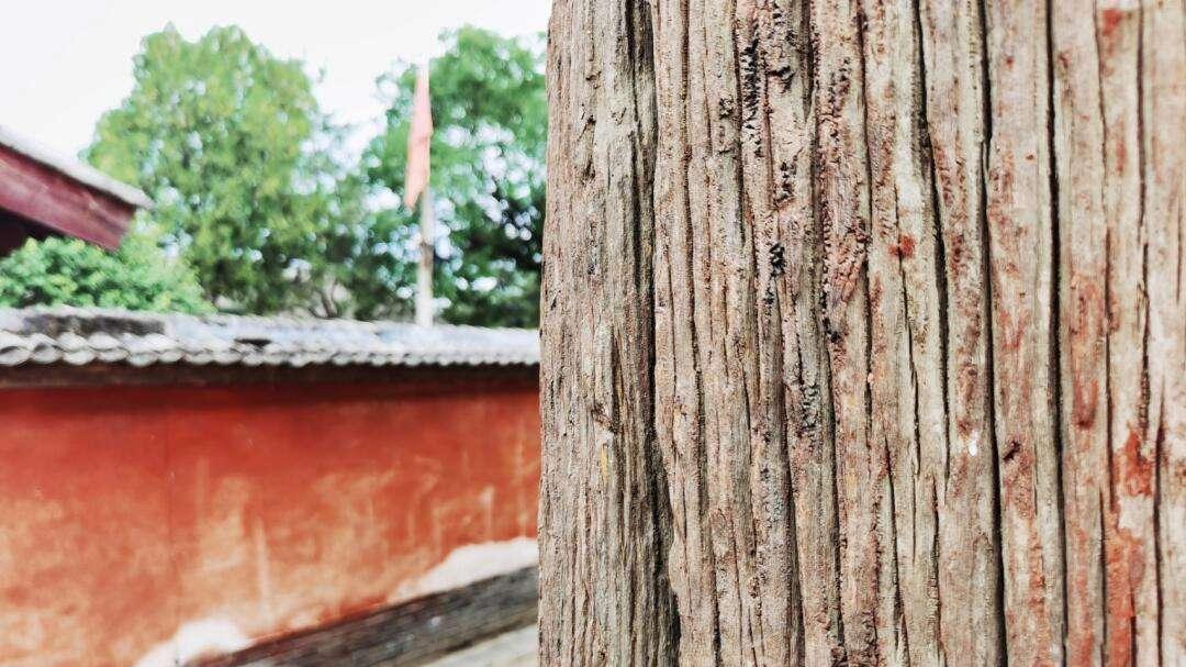 山西忻州南禅寺旅游攻略：探秘中国木构“活化石”，触摸1200年前的盛唐余温