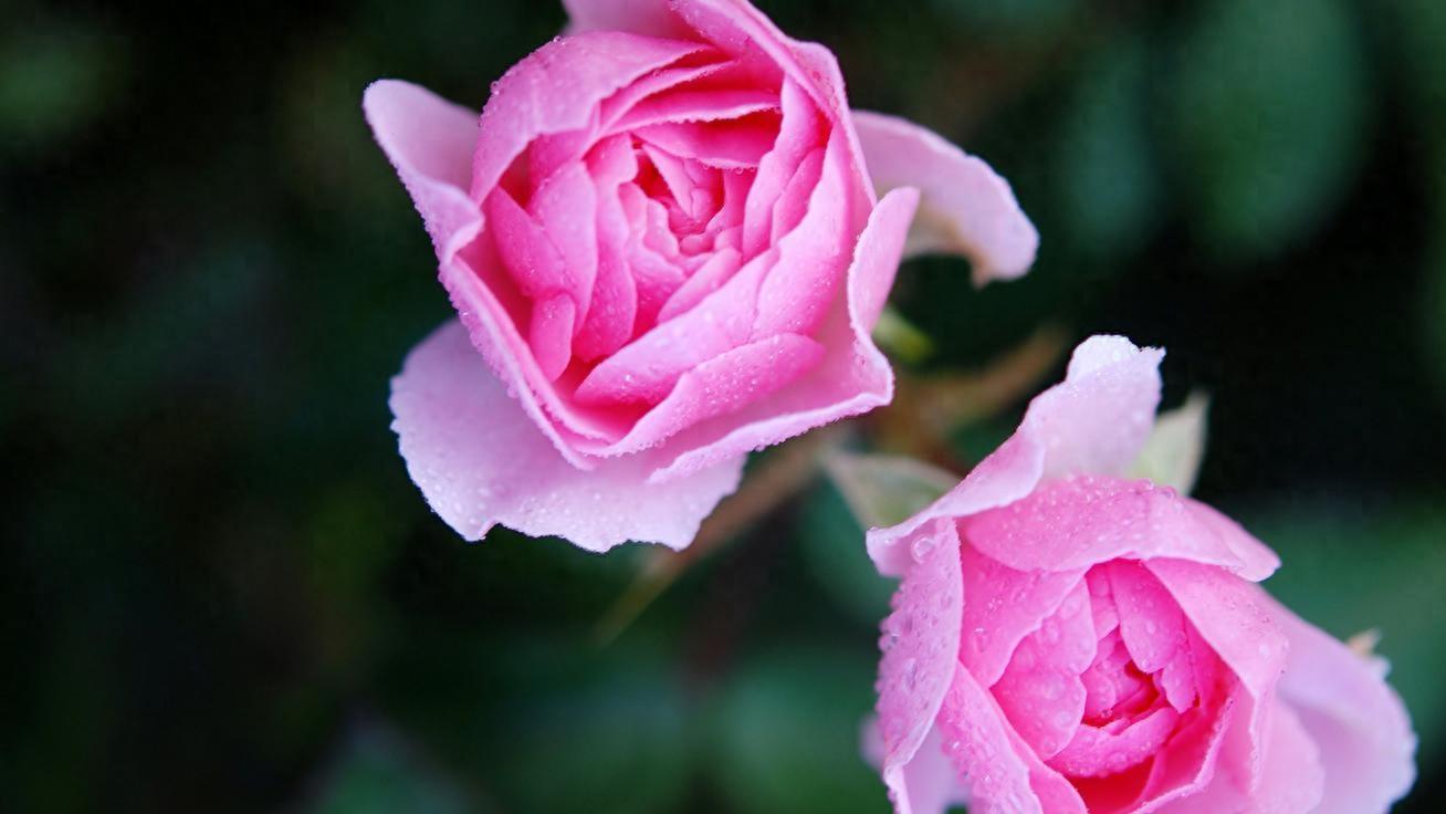 有恩人别光请吃饭，记住这3招， Ta 肯定更感动！