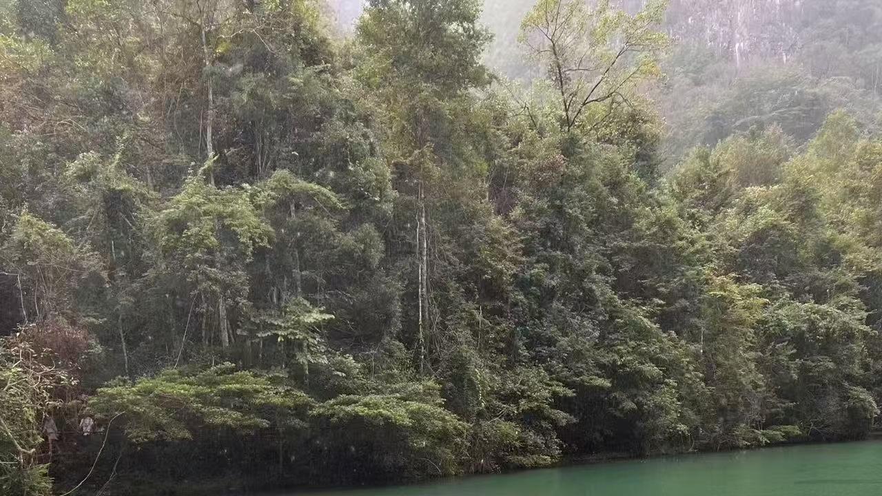 外婆总把剩茶叶埋进花盆，原来藏着3个没说透的生活暗码