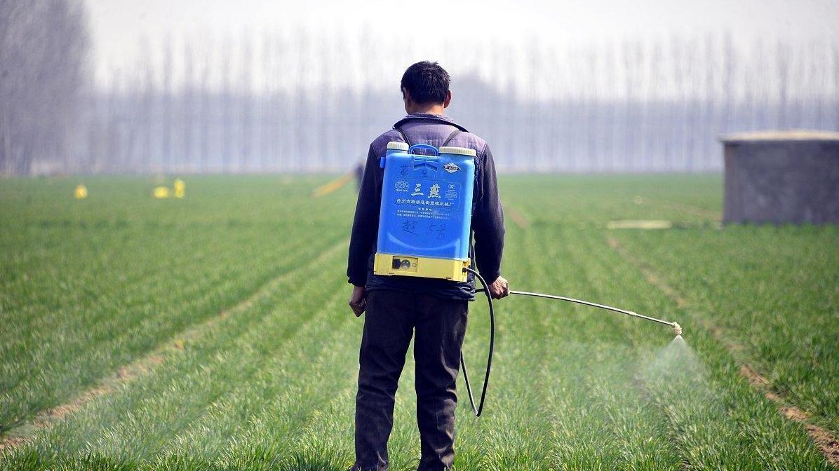 水溶肥和复合肥的对决：一斤水溶肥能否胜过几斤复合肥？