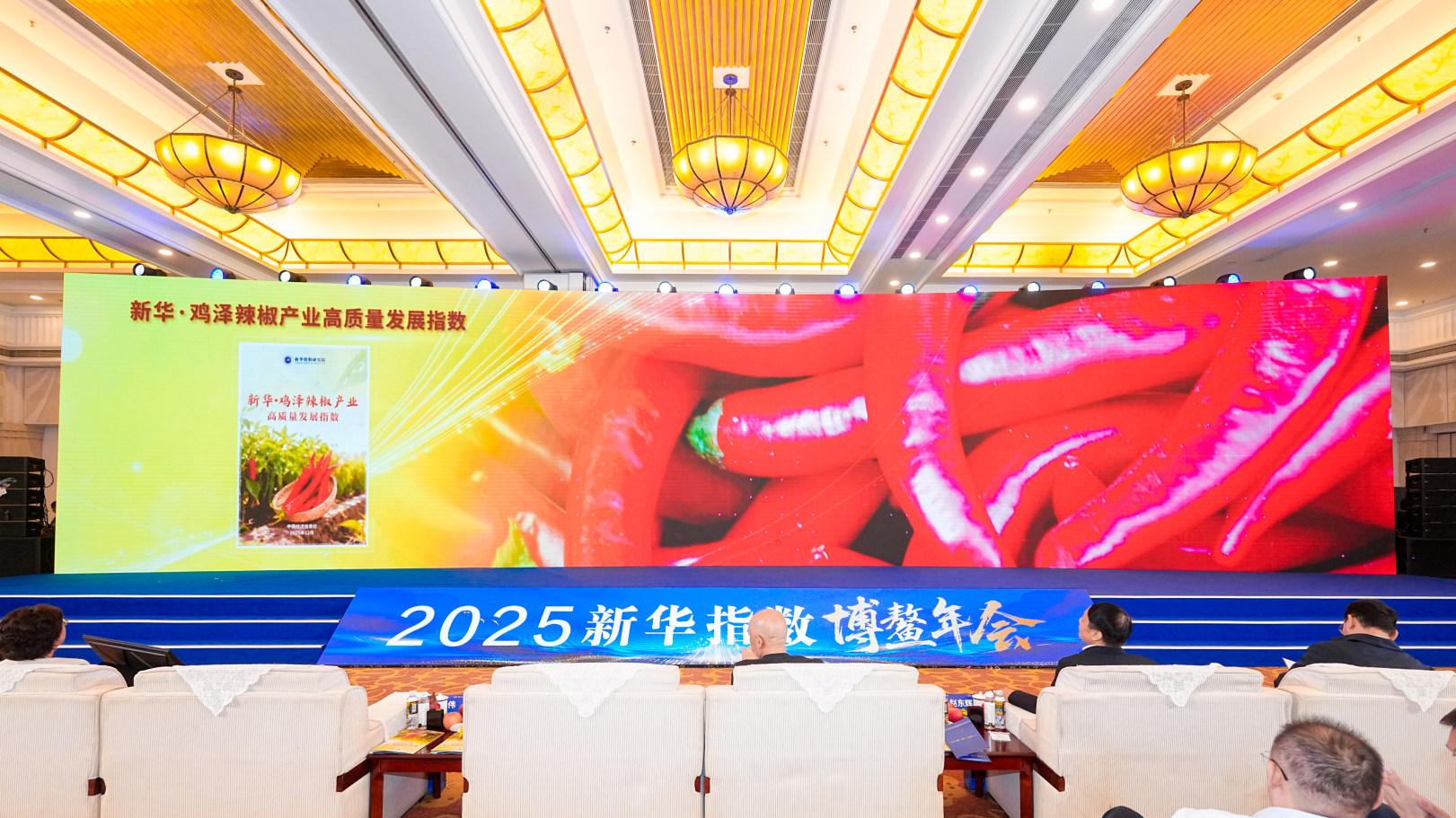 红韵博鳌香飘全国, 鸡泽辣椒以指数为翼领航产业新征程