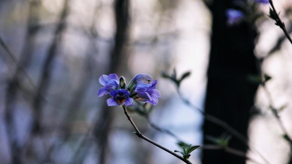吃过亏才知道：当同事在背后拆你台，最高明的回应是“不接招”！