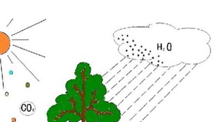 可持续发展——土壤生态修复技术！