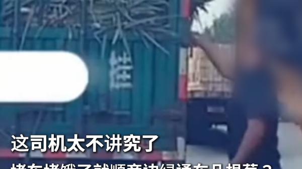 堵车时竟顺走旁边车几根葱，司机此举引争议