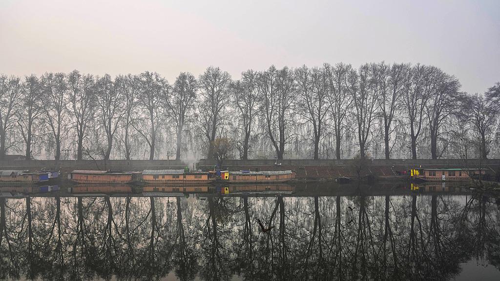 你活在信息茧房里太久了