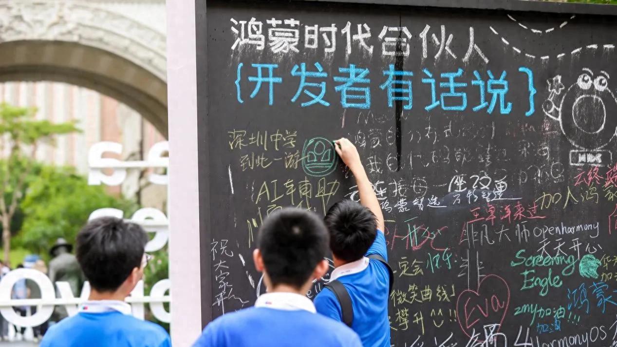 “懒得写代码”的开发者也能暴富？鸿蒙蓝海暗藏玄机