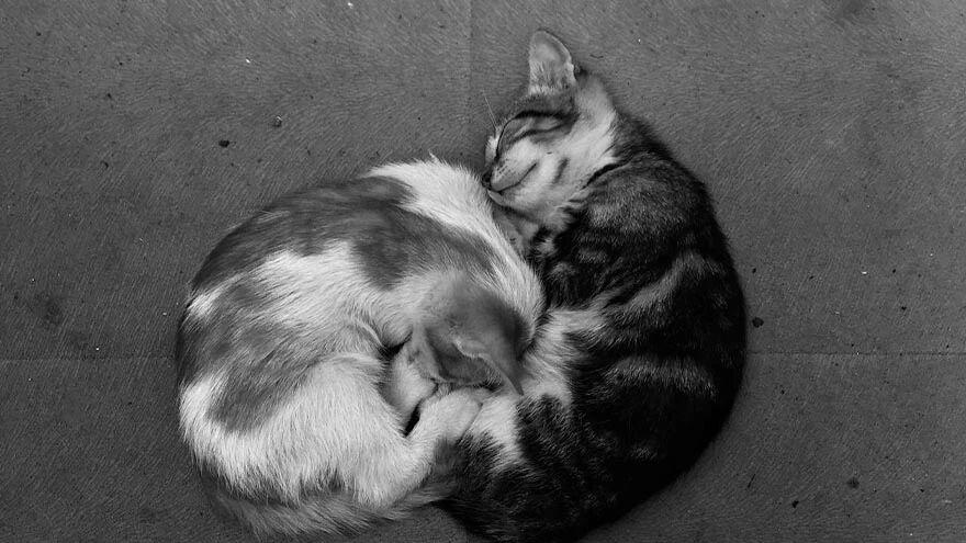 1-2 阴阳、五行和干支的起源顺序：理论源流很重要！