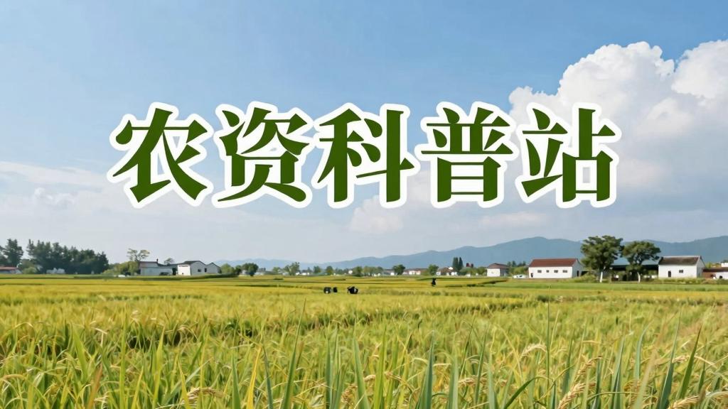 为什么你的有机肥越施地越板？问题可能不在有机肥本身