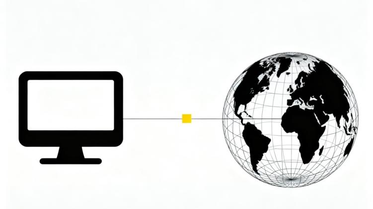 固定公网 IP：网络世界的精准坐标