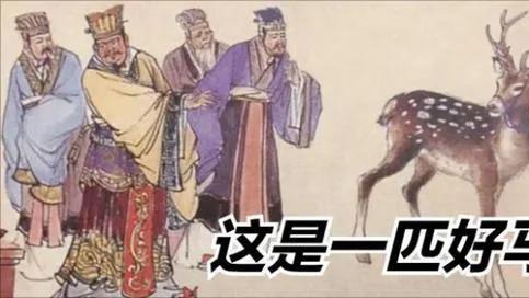 你以为他是侮辱你的智商，其实他是考验你的忠诚
