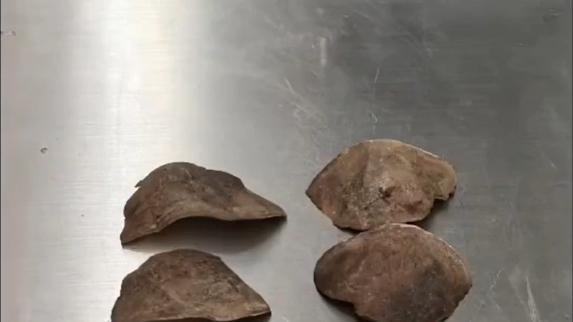 海关律师、走私辩护律师邵丹：旅客走私象牙、穿山甲鳞片