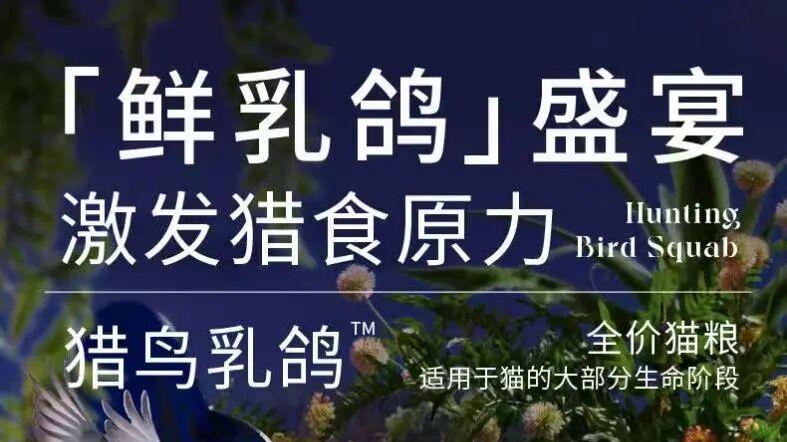 对话蓝氏付乐：一个单品三年做到10亿，国产猫粮绝不做大牌平替