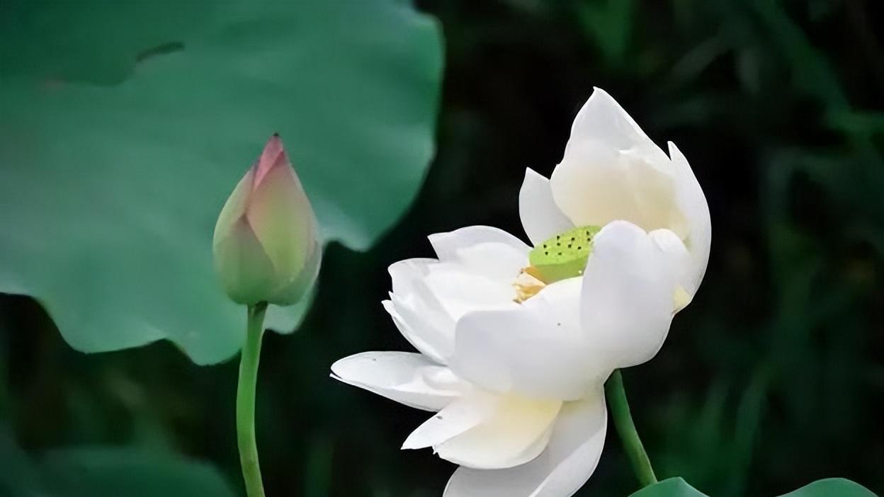 五十多岁的70后，不管有没有存款，都要给孩子“四种财富”