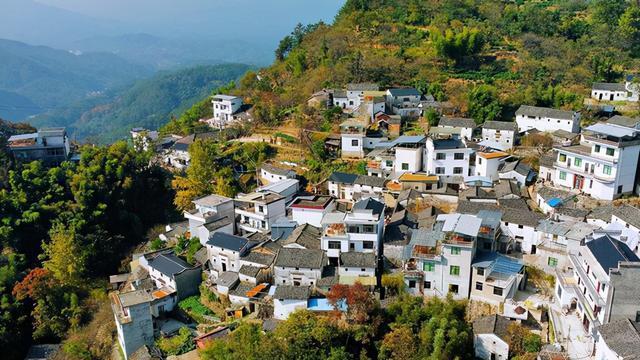 安徽歙县姬公尖，徽州的灯笼柿之乡，秋季漫山的柿子吸引众多游客