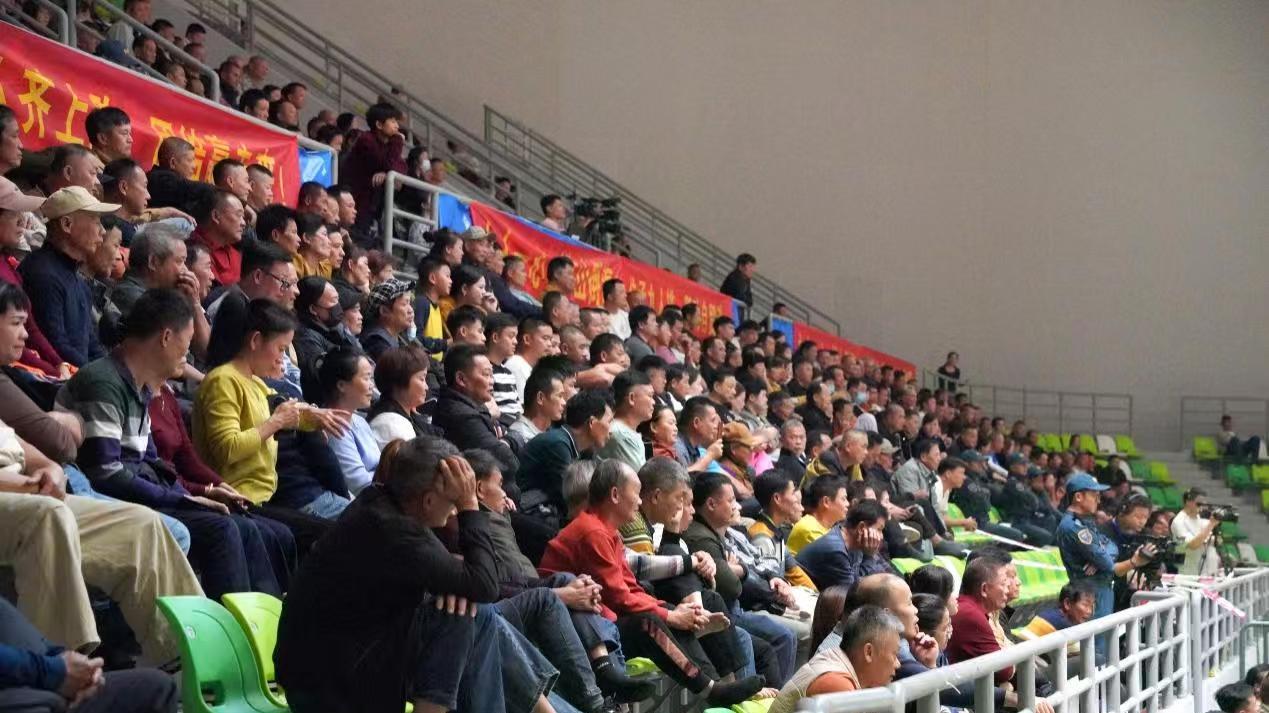 海师大队时隔8年重回顶峰！2025海南省排球联赛落幕