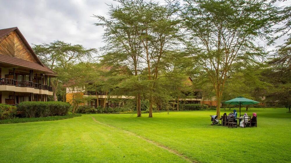 春节9天假直奔肯尼亚? 这届游客开始“错峰”看动物