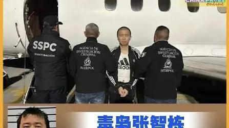 毒王陨落：北大辩论冠军沦为全球通缉犯，美国“毒枭战争”打响