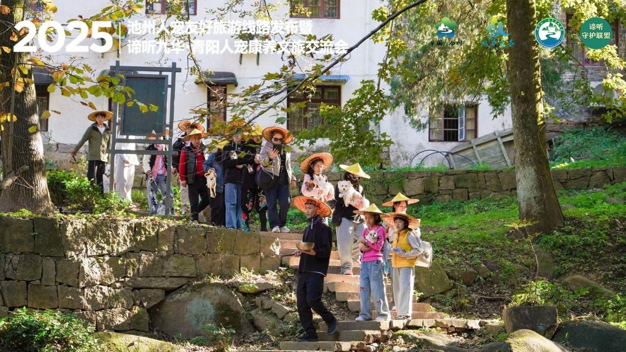 【九华山九子岩·人宠同行】活动圆满落幕：一场“宠物+新文旅”的人宠和谐新篇章
