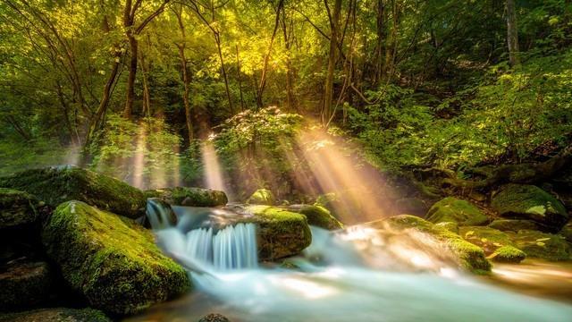 咱爸咱妈七十过后，这四件“好心”事可得掂量着来