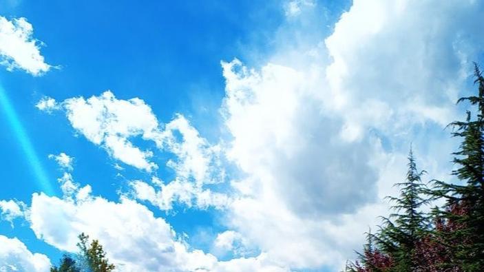 永远不要搭理认知很低的人：你的圈子，藏着你的未来