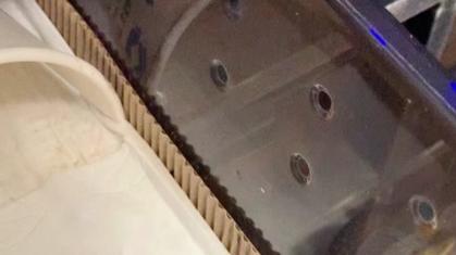 守宫蜕皮全程监护指南：从蒙眼到进食，如何合格守护