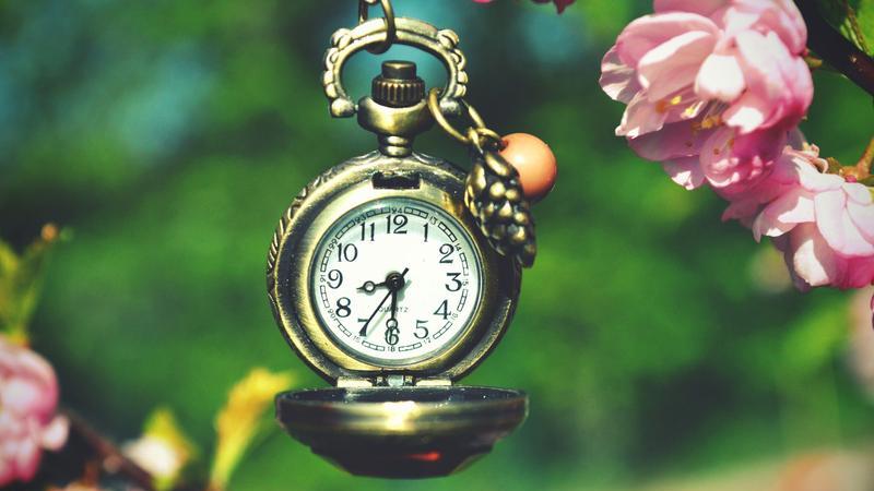 2026年，丑牛逐月事业情感之运