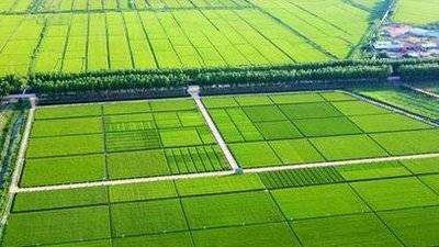 政府工作报告来了！2025年“三农”工作重点有哪些？