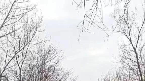 乌克兰库尔斯克撤退，6000士兵逃出生天