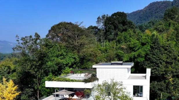 从“出行难”到“行得畅”，川桃路焕发新生！