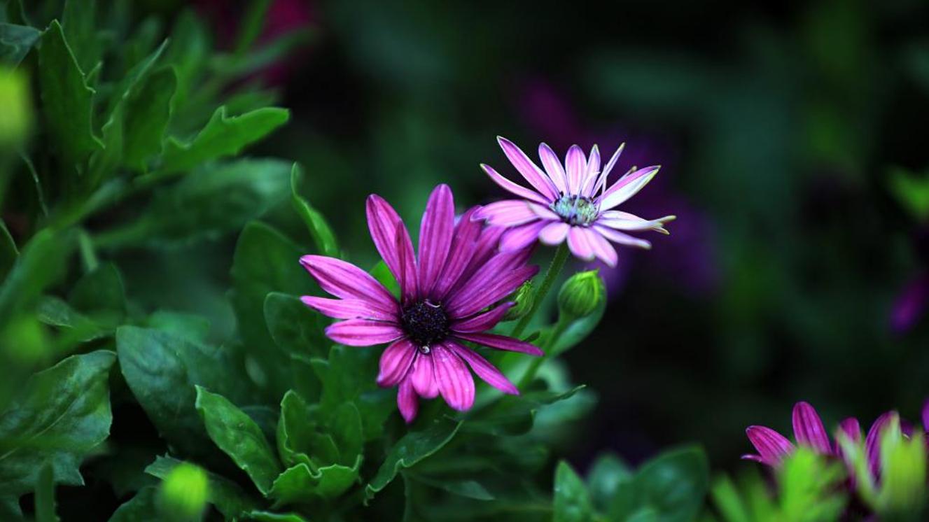 中年已婚男，一定要警惕这两种女人